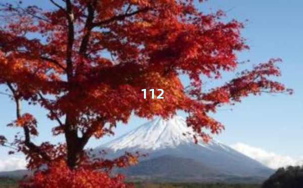 AI文章生成器网址推荐：智能高效创作新体验