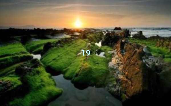 AI描述生成：让创意无尽延展的利器