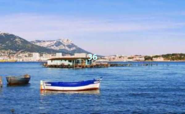 AI文章精简：让你的文字更加简洁高效