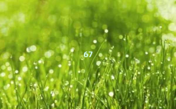 AI文章生成器免费-提升创作效率的智能工具